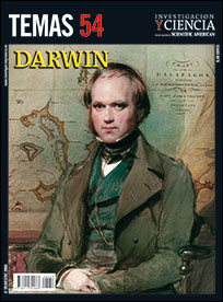 2008 Darwin